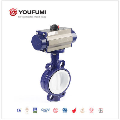 ANSI Standard PTFE Double Disc Butterfly Valve 6 Inch Wafer Type