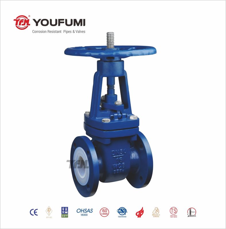 Two Way PTFE Lined Gate Valve With Extended Stem A216 Wcb Rising Stem