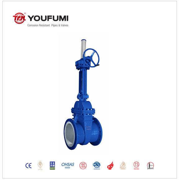 FEP Lined Gear Operated Gate Valve , 10inch ANSI Standard Gate Valve For PVC