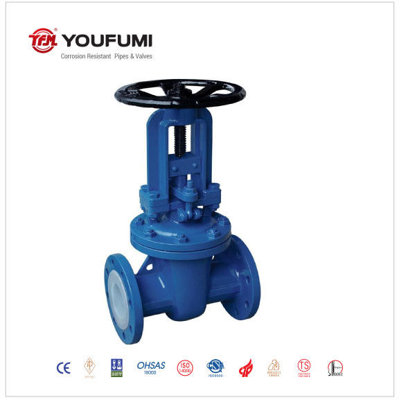 Water Media PTFE Lined Gate Valve Standard 100mm With Extended Stem
