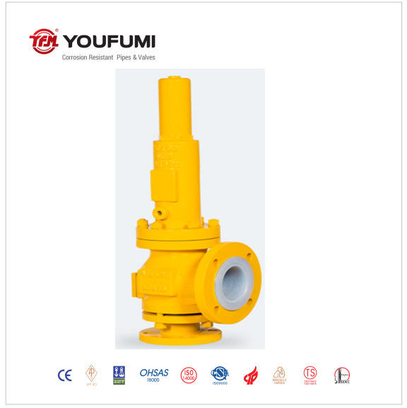 PFA Lined Relief Temperature Safety Valve F46 Corrosion Proof