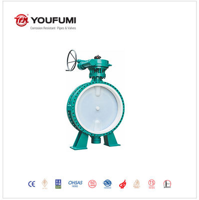 Flanged Type WCB PTFE Lined Butterfly Valve 100mm Power Plant use